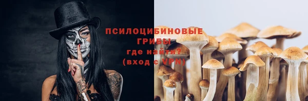 Альфа ПВП Богородицк