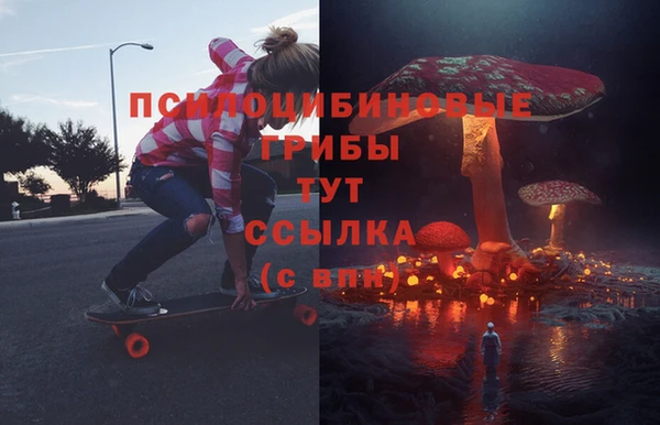 Альфа ПВП Богородицк