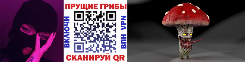 Галлюциногенные грибы Psilocybe закладки Златоуст